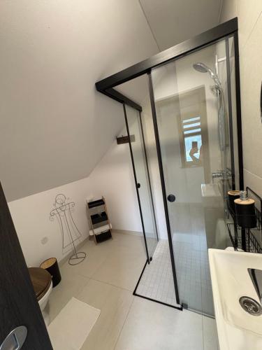 a bathroom with a shower and a toilet at Chata Snowee Valča in Stará Turá