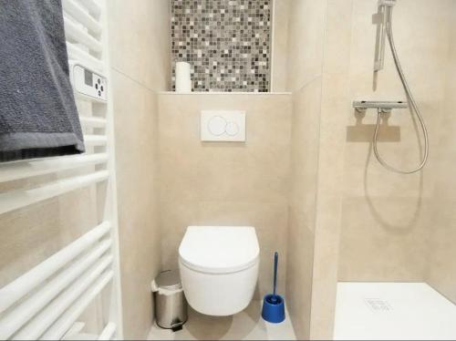 a small bathroom with a toilet and a shower at AlsAppart, duplex climatisé à 5 min de Colmar in Sainte-Croix-en-Plaine