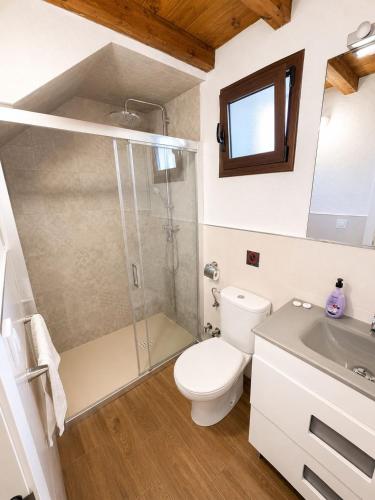 a bathroom with a shower and a toilet and a sink at La casa de Rodrigo y Manuela in Tarifa