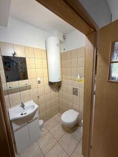 a bathroom with a toilet and a sink at Apartament pod Dębami in Rowy