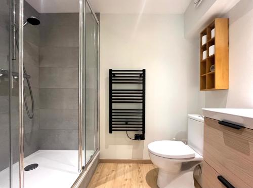 a bathroom with a shower and a toilet at Le Studio nature de La Pra in Herbeys