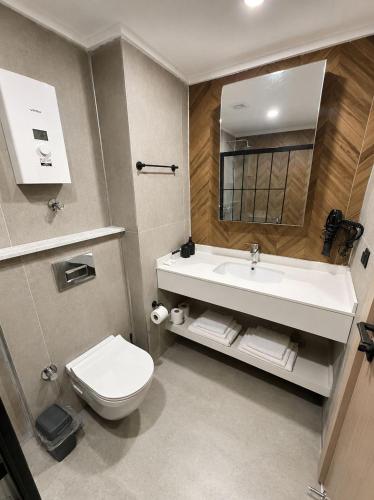 a bathroom with a sink and a toilet at Busera Vida Inn in Ilıcaköy