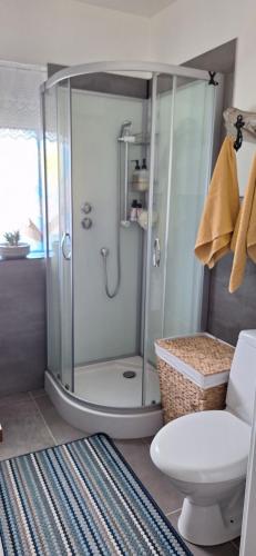 a bathroom with a shower and a toilet at Windy Guesthause in Grundarfjordur