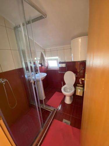 a small bathroom with a toilet and a shower at RISTESKI GUEST HOUSE in Ohrid