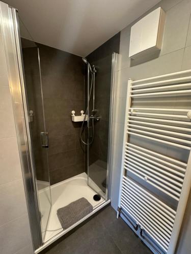 a shower with a glass door in a bathroom at Pension ALPENHAUS in Vorderstoder