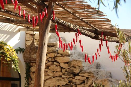 a bunch of red peppers hanging from a wooden structure at Auberge De La Plage in Sidi Kaouki