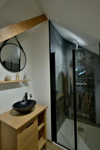 a bathroom with a sink and a shower at Le Nid de Mazerolles in Sucé