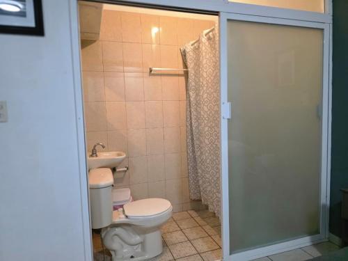 a bathroom with a toilet and a sink and a shower at 10 VENATOR House Boutique in León