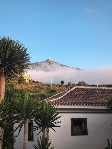 a house with palm trees and a mountain in the background at Hotel Rural Casablanca in Los Realejos