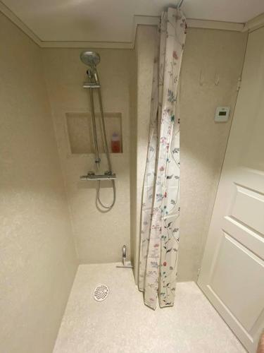 a shower in a bathroom with a shower curtain at Elf's Cottage in Vatnsoyrar