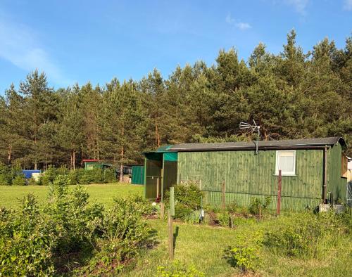 Leśny Wóz Drzymały Spore - 1500 m2 terenu na wyłączność!