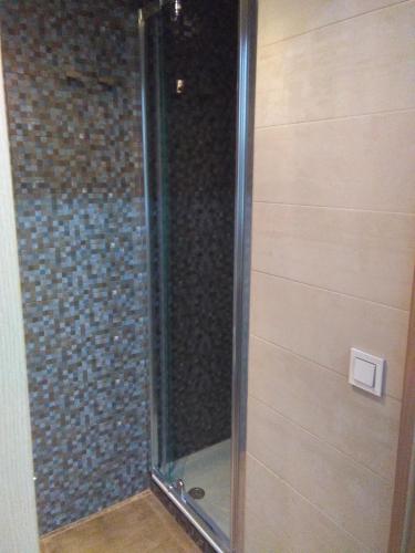 a shower with a glass door in a bathroom at Apartamentos Turísticos La Garza in Cáceres