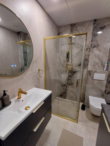 a bathroom with a shower and a sink and a toilet at Labaresto Plaza jums in Vilnius