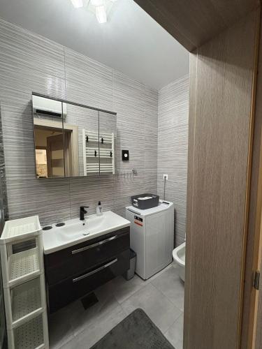 a bathroom with a sink and a mirror and a toilet at Apartmani HeManoS in Duga Resa