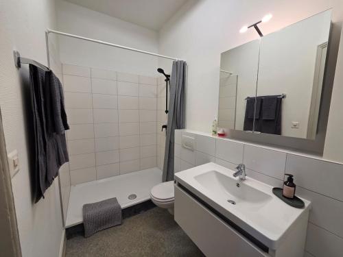 Urban Loft Basel- 15 min airport-city-SBB train station