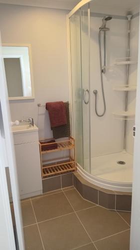 a bathroom with a shower and a sink at The Central Apartment in Geraldine