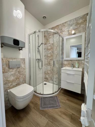 a bathroom with a shower and a toilet and a sink at WYDMY Apartamenty i Domki Międzywodzie in Międzywodzie