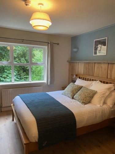 a bedroom with a large bed with a large window at Connemara National Park Lodge in Letterfrack
