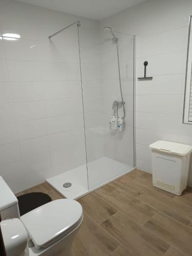 a white bathroom with a shower and a toilet at Casa Atalaya en Malpica in Malpica