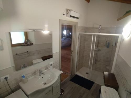 a bathroom with a sink and a shower at La Baita nel Bosco in Berzo