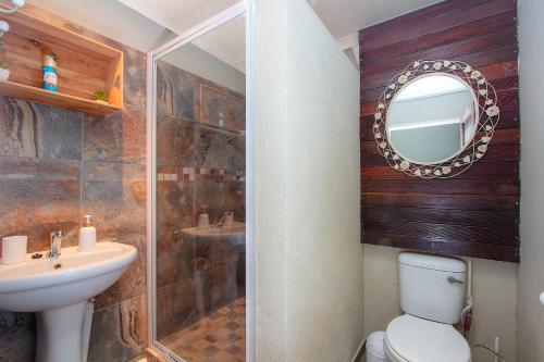 a bathroom with a toilet and a sink and a mirror at Baobab at 36 Rissik in Komatipoort