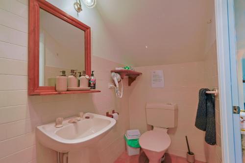 a bathroom with a sink and a toilet and a mirror at Girraween Country Inn in Ballandean