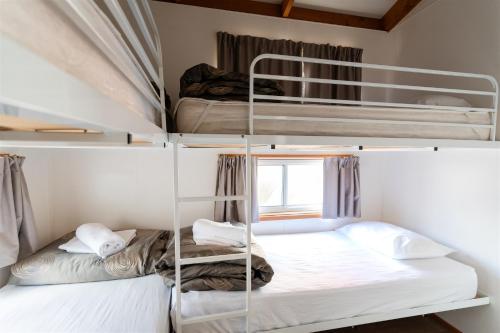 two bunk beds in a room with a window at Riverside Cabin Park in Shepparton