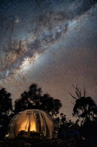 a dome tent under a starry sky at night at Bubble Hotel in Coonabarabran