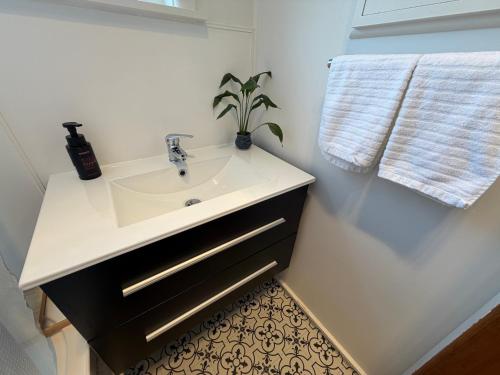 a bathroom with a sink and a potted plant at Tyne above Town in Oamaru
