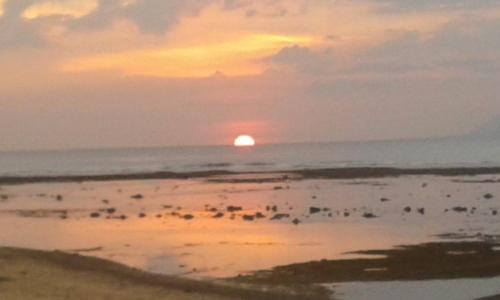 a group of birds on the beach at sunset at Rock Pool Homestay in Huu