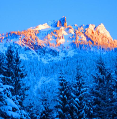 a snow covered mountain with trees in the foreground at Gästehaus Alpina in Maurach