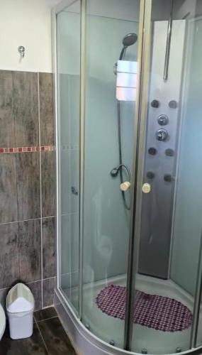 a shower with a glass door in a bathroom at Alojamiento Amado in Los Antiguos