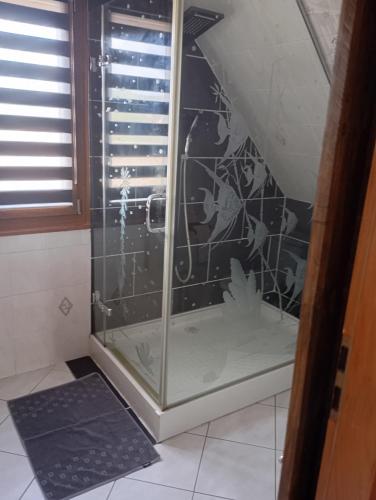 a shower with a glass door in a bathroom at Cottage champêtre in Marmoutier