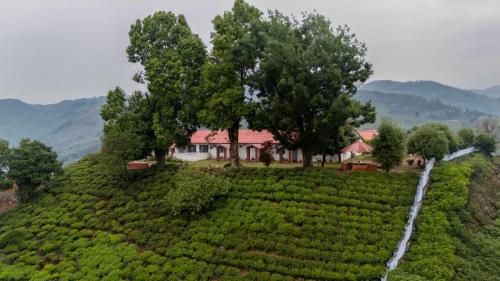a house in the middle of a tea plantation at Estate Bungalow with Waterfall, Mountain & Valley Views in Kotagiri