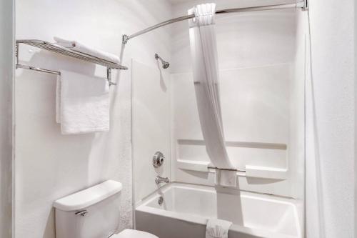 a white bathroom with a shower and a toilet at Quality Inn & Suites Gallup I-40 Exit 20 in Gallup