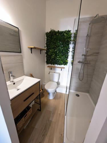 a bathroom with a toilet and a shower with a plant at l'alcôve in Frontignan