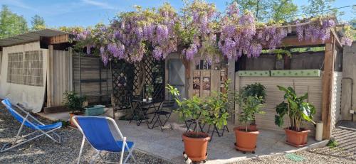 a pergola with purple wisteria hanging over a patio at Il Mulino B&B in Rivara
