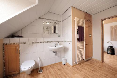 a bathroom with a toilet and a sink at Am Fabianstift 1 in Hornbach