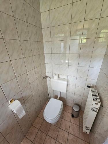 a bathroom with a toilet in a tiled room at Bohinjski kot in Bohinj