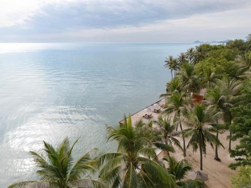an aerial view of a beach with palm trees and the ocean at Anantara Hua Hin Resort in Hua Hin