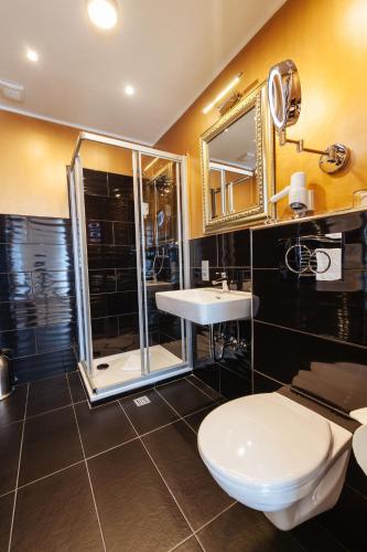 a bathroom with a shower and a toilet and a sink at Akzent Hotel Tietmeyer & Cross Side in Schöppingen