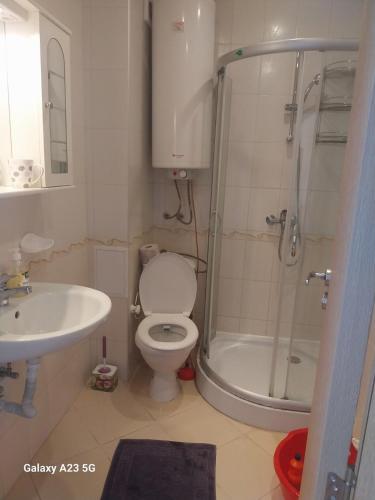a bathroom with a toilet and a shower and a sink at Апартамент Нина in Byala