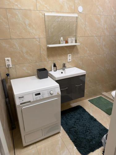 a small bathroom with a sink and a washing machine at Ejon in Lelystad