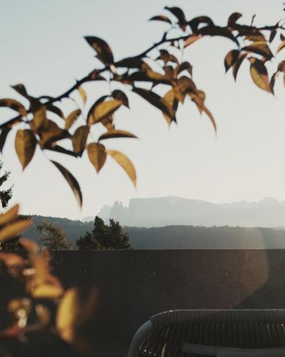 Hotel Belvedere - Fine Dining, Hideaway & SPA