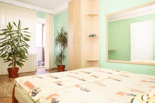 - une chambre avec un grand lit et un grand miroir dans l'établissement Apartment on Sobornyi Avenue, à Zaporijia