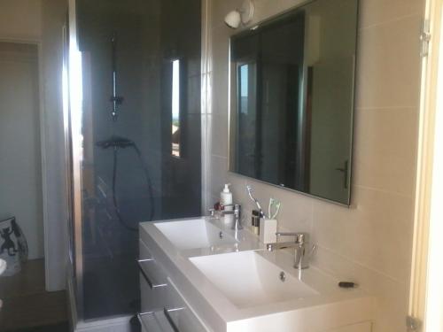 a bathroom with a sink and a shower with a mirror at Station balnéaire Pradet entre Toulon et Hyères proche plages in Le Pradet