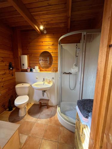 a bathroom with a toilet and a shower and a sink at Gemütliches Blockhaus in Harsefeld