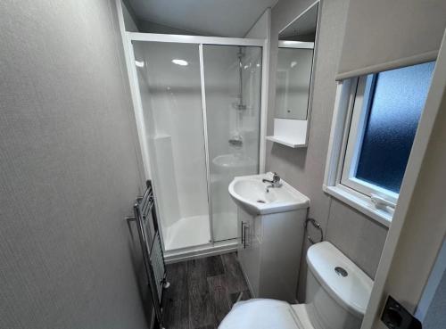 a bathroom with a shower and a toilet and a sink at B&B ZomersBuiten in Oude Pekela