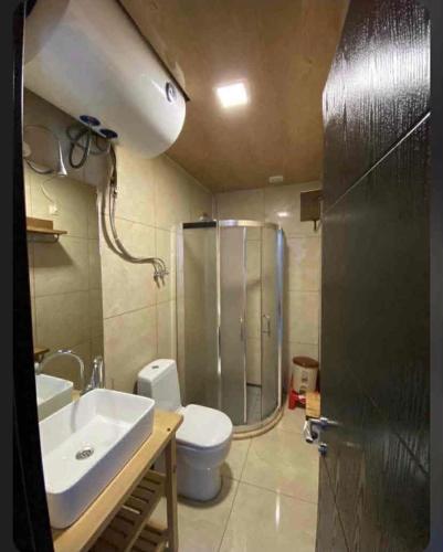 a bathroom with a shower and a toilet and a sink at GONIO Mgzavrebi III Apartment 403 in Gonio