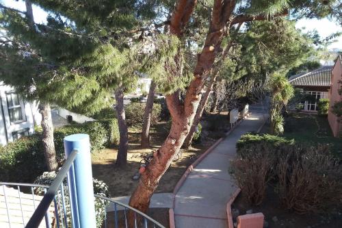 Lovely apartment near city center